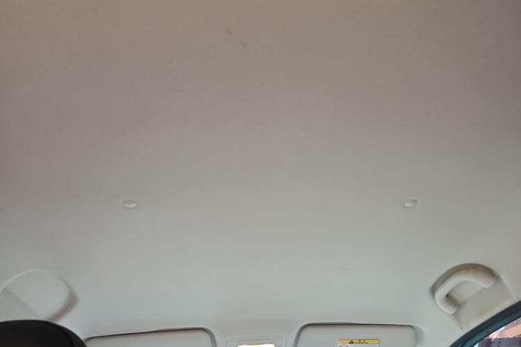 Used Cowin October 2025 Mate 410 km Surfing Edition Headliner