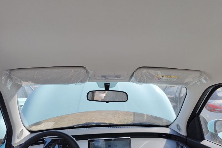 Used Cowin October 2025 Mate 300km Surfing Edition Headliner