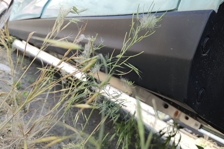 Used Cowin October 2025 Mate 300km Surfing Edition Left Side Sill
