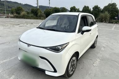 Used Cowin October 2025 Mate 300km Surfing Edition