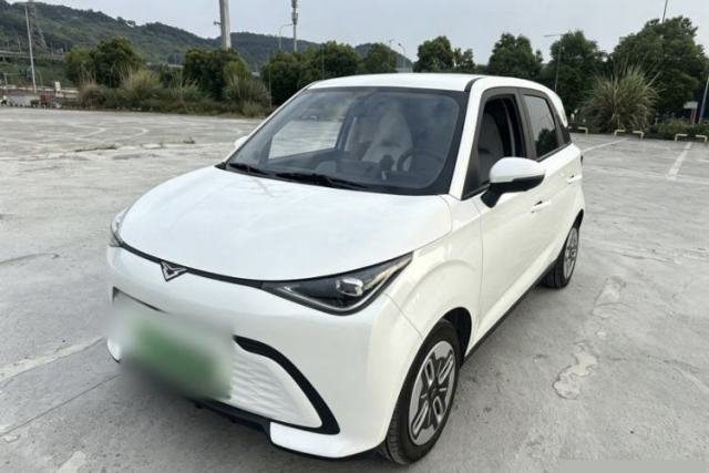 Used Cowin October 2025 Mate 300km Surfing Edition