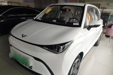 Used Cowin October 2025 Mate 300km Surfing Edition