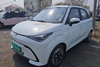 Used Cowin October 2025 Mate 300km Surfing Edition