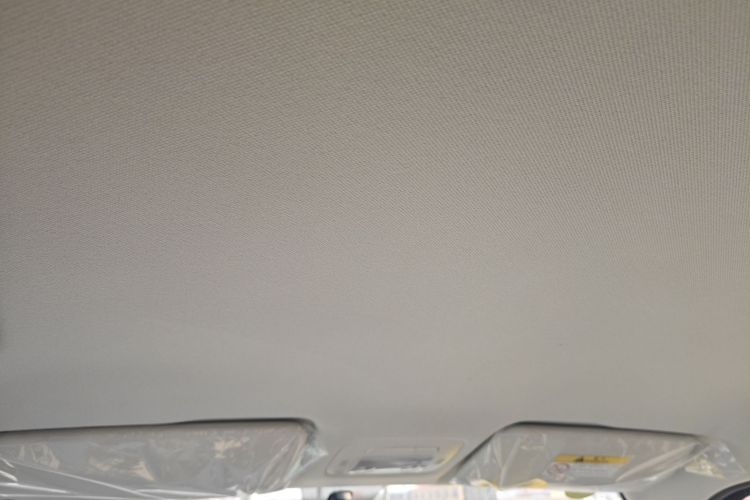 Used Cowin October 2025 Mate 300km Surfing Edition Headliner