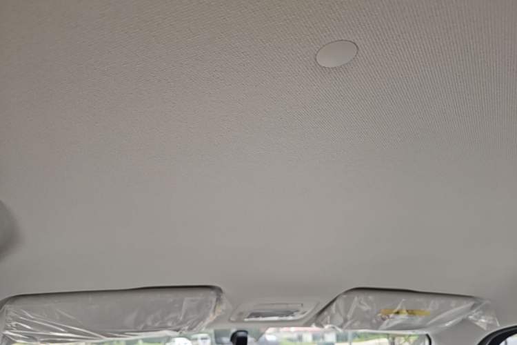 Used Cowin October 2025 Mate 300km Surfing Edition Headliner