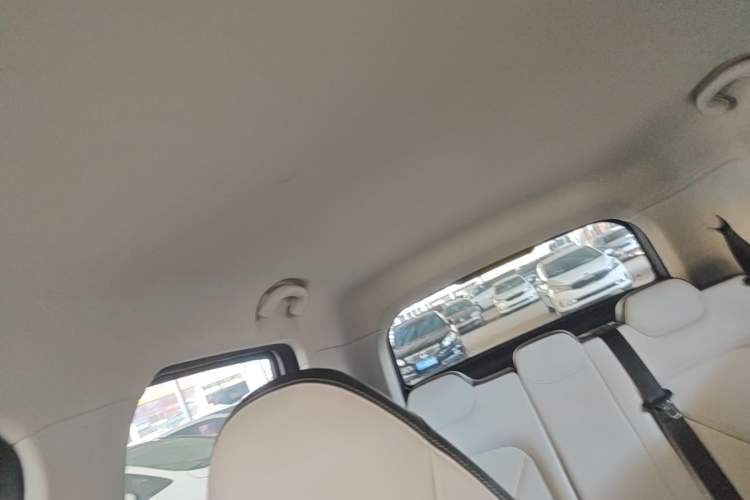 Used Cowin October 2025 Mate 300km Surfing Edition Headliner