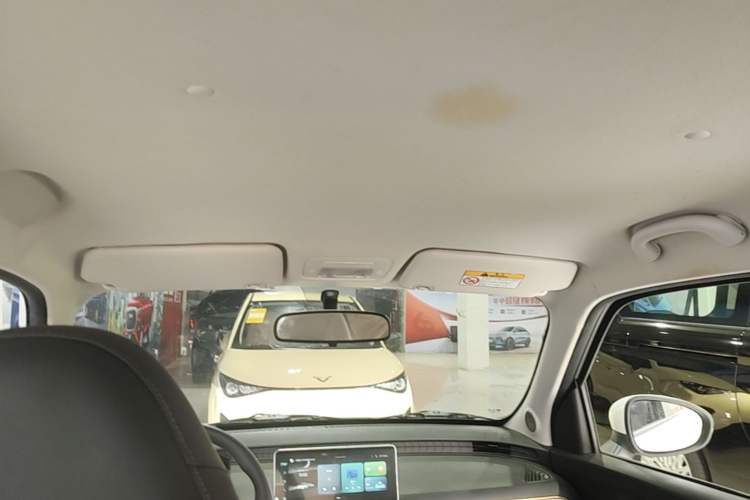 Used Cowin October 2025 Mate 300km Surfing Edition Headliner