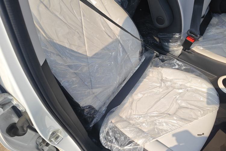Used Cowin October 2025 Mate 300km Surfing Edition Right Front Seat