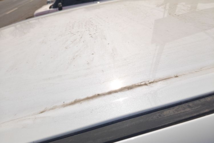 Used Cowin October 2025 Mate 300km Surfing Edition Roof