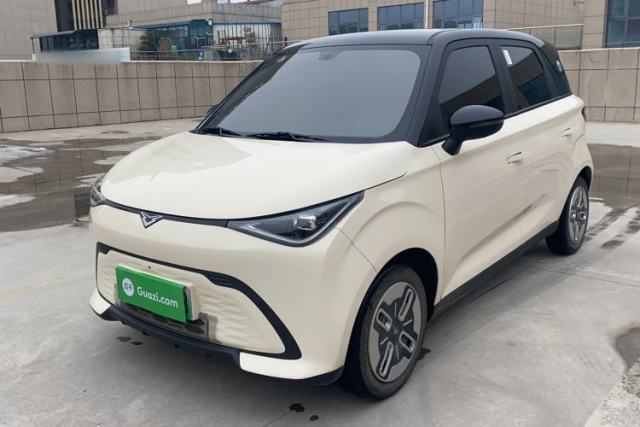 Used Cowin October 2025 Mate 300km Surfing Edition