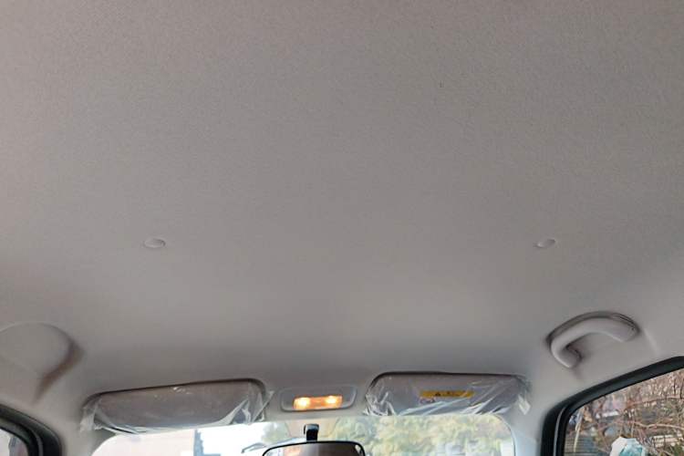 Used Cowin October 2025 Mate 300km Surfing Edition Headliner