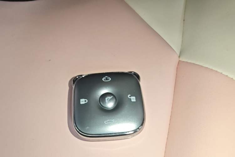 Used Cowin October 2026 Model Mate 201km Anniversary Edition Vehicle Key