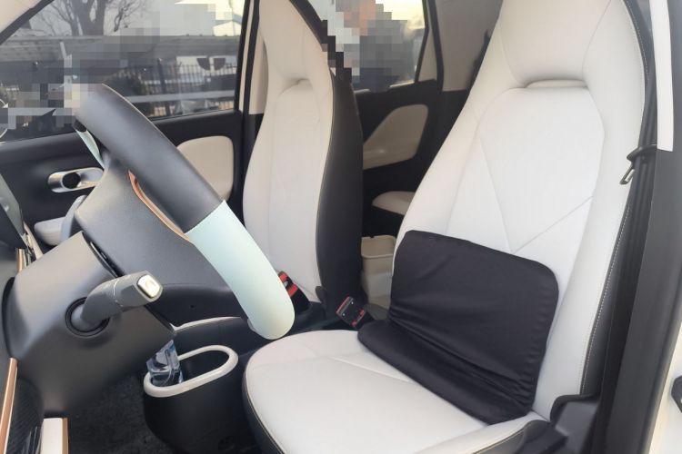Used Cowin October 2026 Model Mate 305km Guoxuan Wind-Chasing Edition Left Front Seat