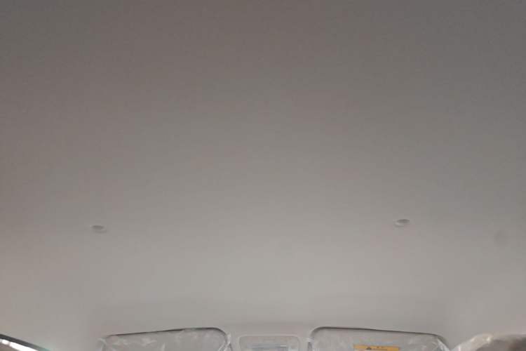 Used Cowin October 2026 Model Max 310km—Dream Realization Edition Headliner
