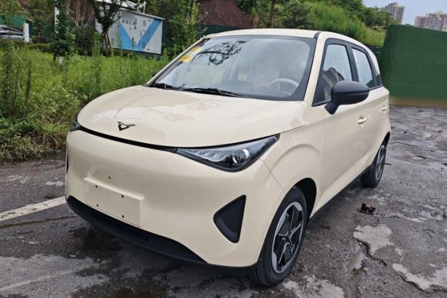 Used Cowin October 2026 Model Max 310km—Wish Fulfillment Edition