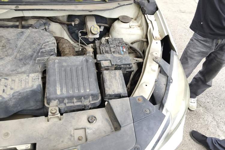 Used Cowin V3 2016 1.5L Manual SmartConnect II Comfort Edition Engine Bay Left