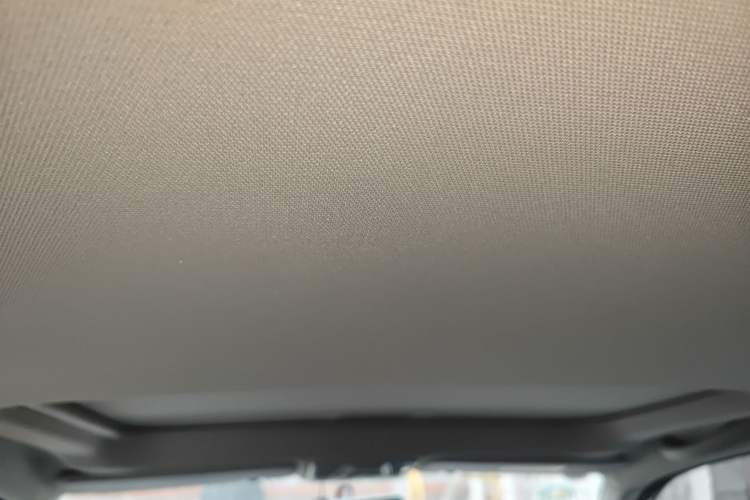 Used Cowin X3 2017 1.6L Manual Enthusiast Edition China V Standard Headliner