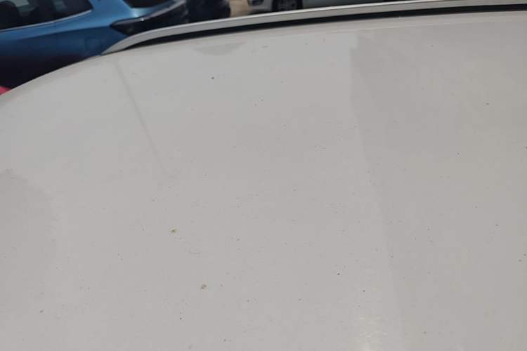 Used Cowin X3 2018 1.6L CVT Smart Enjoyment Version China V Standard Roof