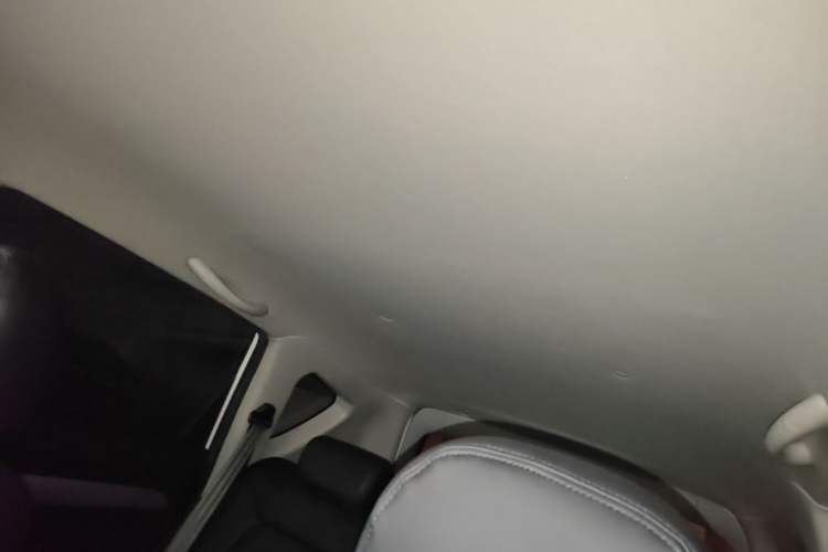 Used Cowin X3 2019 1.5L Manual Smart Edition Headliner