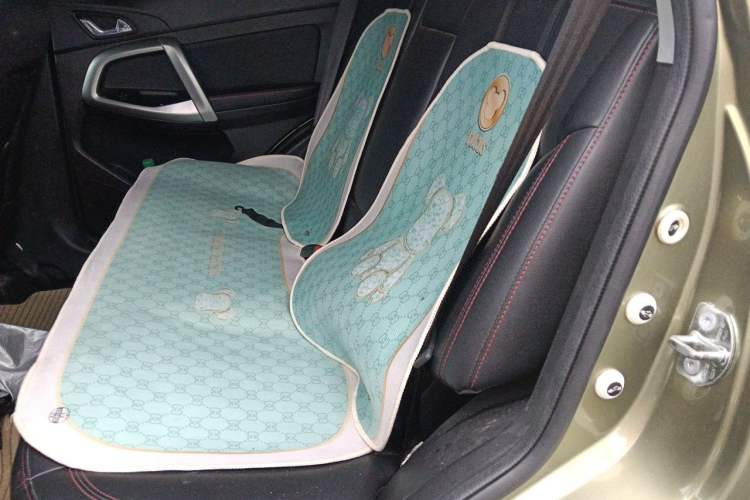Used Cowin X5 2017 1.5T CVT Luxury Model Left Rear Seat