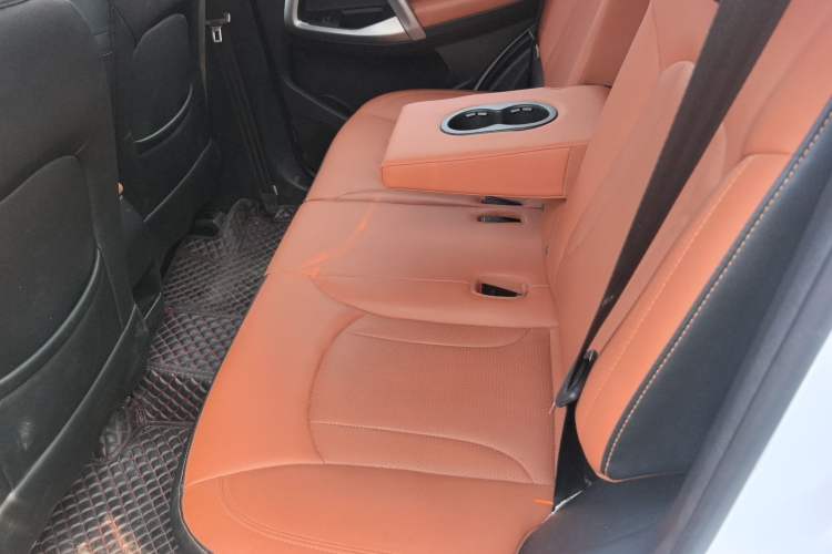 Used Cowin X5 2017 1.5T CVT Luxury Model Left Rear Seat