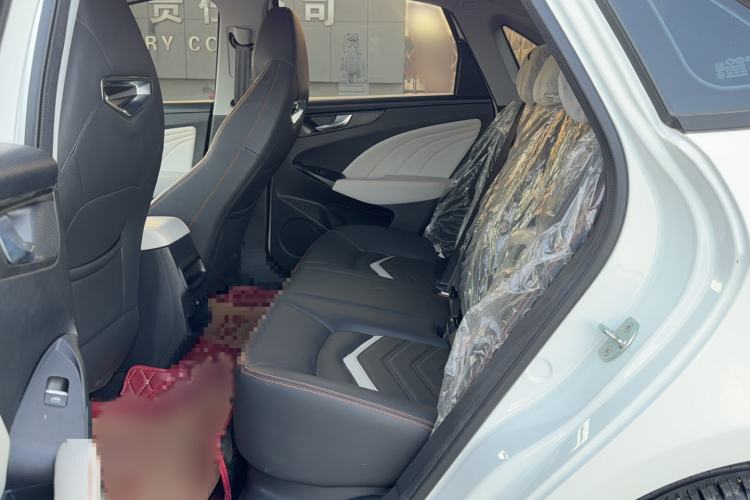 Used Cowin Xuandu 2021 1.5T CVT Zaqi Edition Left Rear Seat