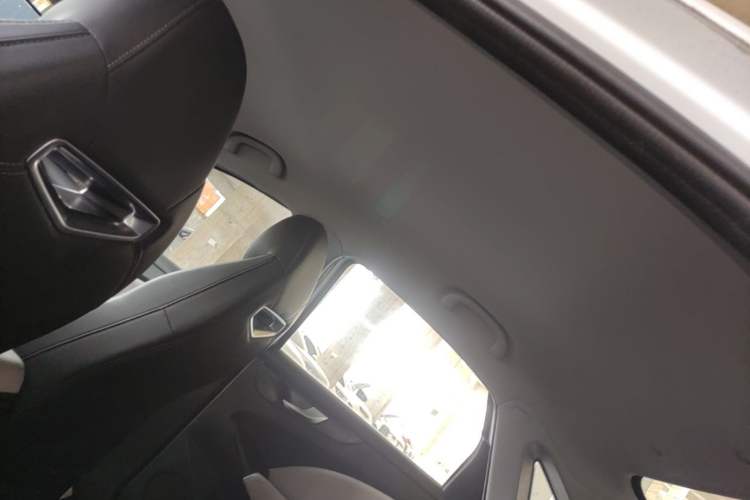 Used Cowin Xuandu EV 2024 Yue Xing Version Headliner