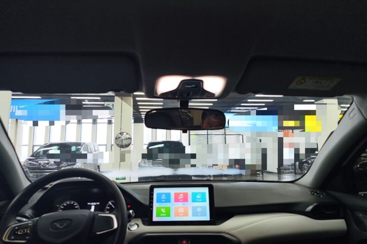 Used Cowin Xuandu EV 2024 Yue Xing Version Headliner