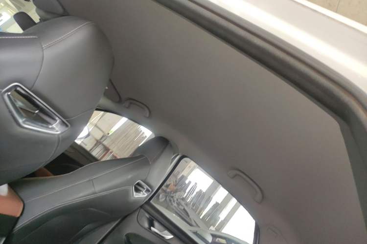 Used Cowin Xuandu EV 2024 Yue Xing Version Headliner