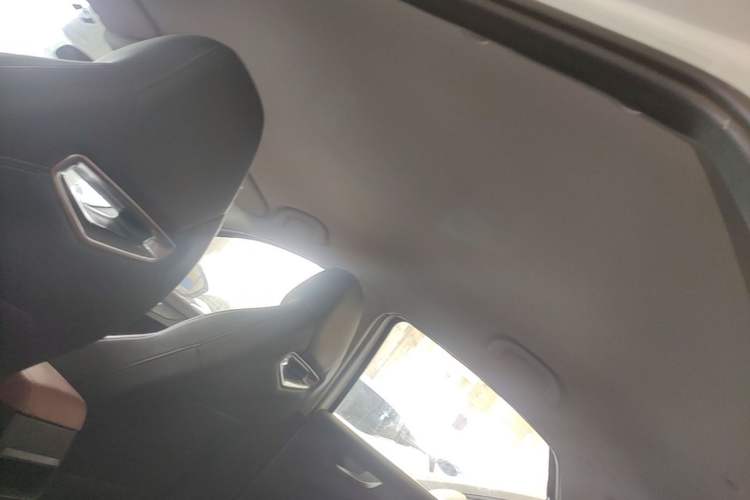 Used Cowin Xuandu EV 2024 Yue Xing Version Headliner