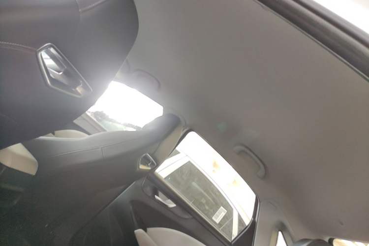 Used Cowin Xuandu EV 2024 Yue Xing Version Headliner