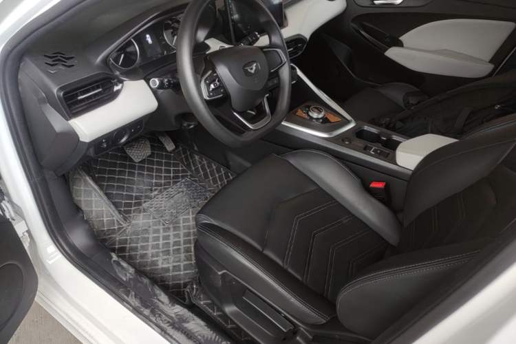 Used Cowin Xuandu EV 2024 Yue Xing Version Left Front Seat