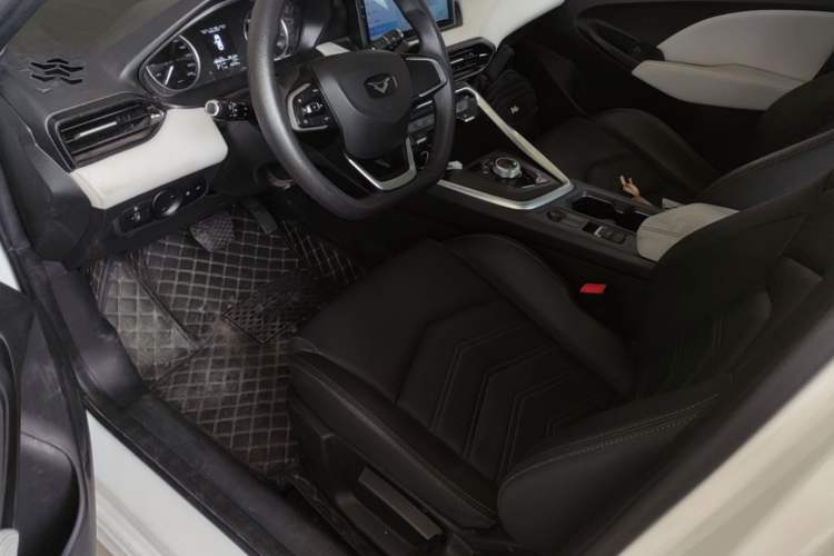 Used Cowin Xuandu EV 2024 Yue Xing Version Left Front Seat