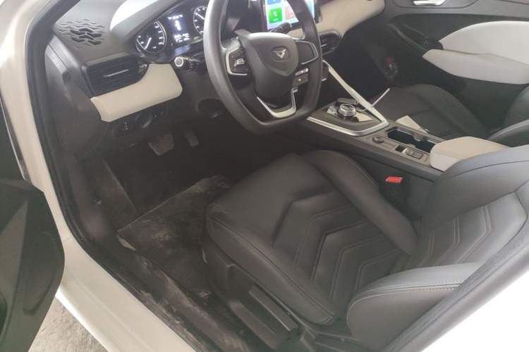 Used Cowin Xuandu EV 2024 Yue Xing Version Left Front Seat