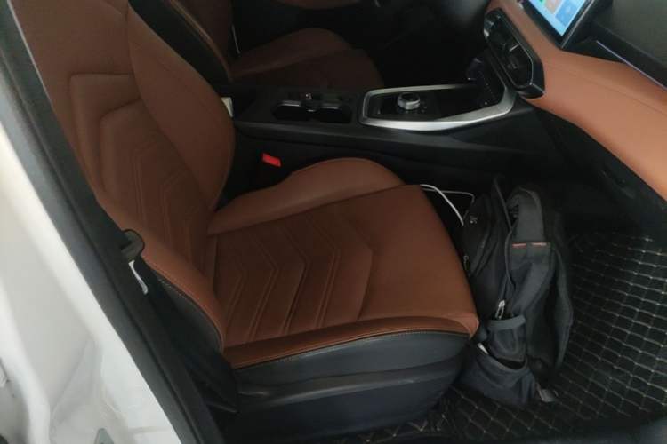Used Cowin Xuandu EV 2024 Yue Xing Version Right Front Seat