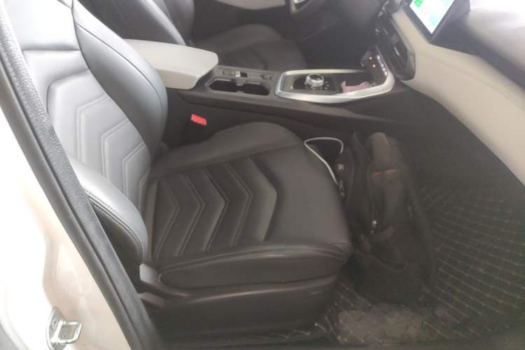 Used Cowin Xuandu EV 2024 Yue Xing Version Right Front Seat