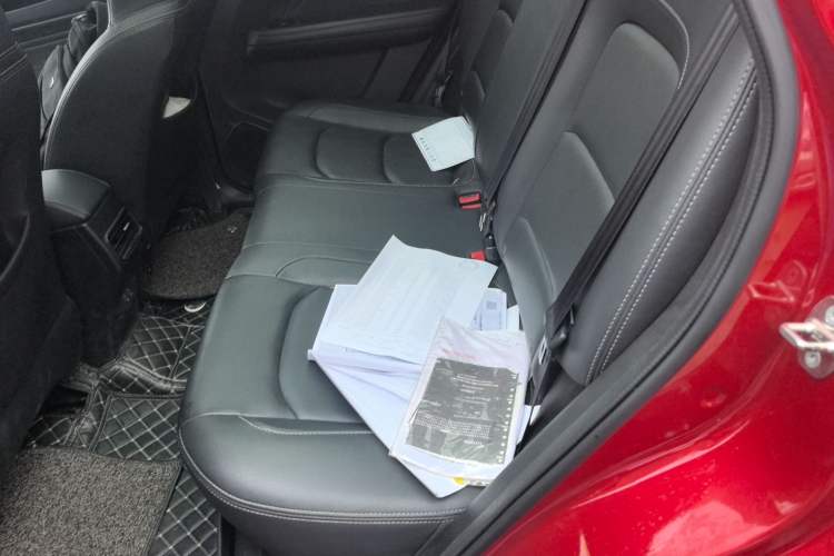 Used Cowin Xuanjie 2020 1.5L Manual Xuan Left Rear Seat