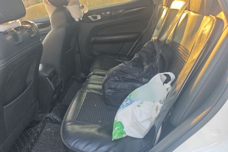 Used Cowin Xuanjie 2020 1.5L Manual Trendy Left Rear Seat