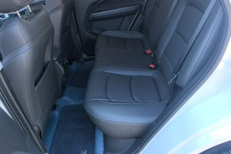 Used Cowin Xuanjie 2020 1.5L Manual Xuan Left Rear Seat