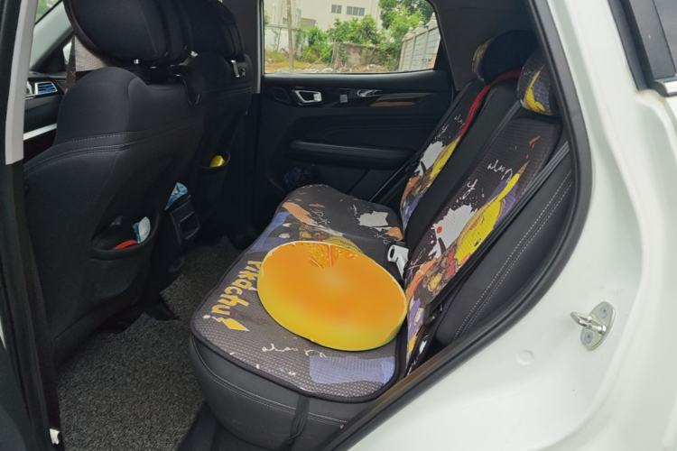 Used Cowin Xuanjie 2020 1.5L CVT Le Left Rear Seat