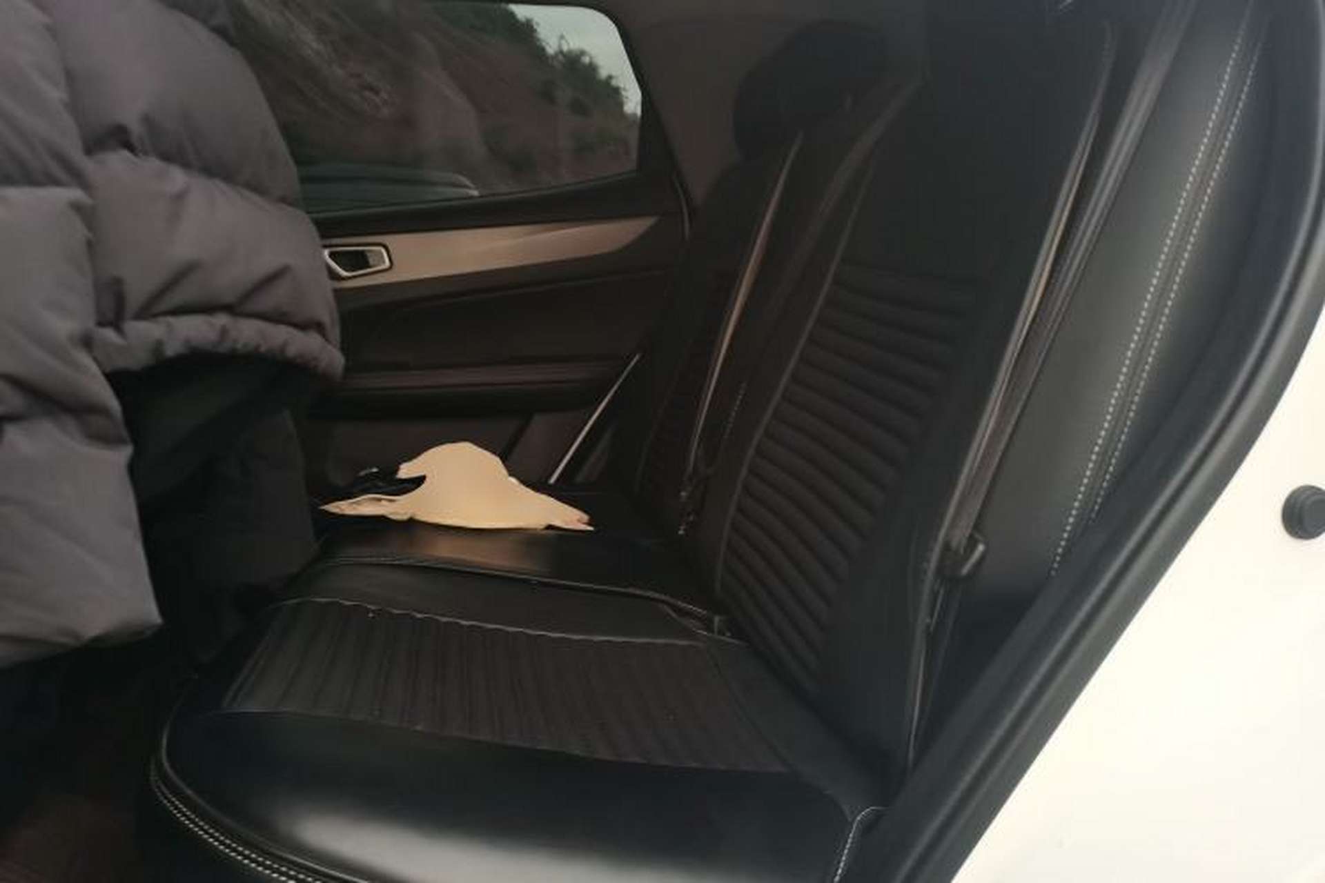 Used Cowin Xuanjie 2021 1.5L CVT Enjoyment Edition Left Rear Seat
