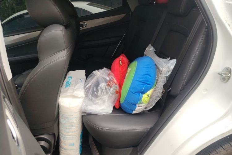 Used Cowin Xuanjie 2021 1.5L CVT Luxury Edition Left Rear Seat