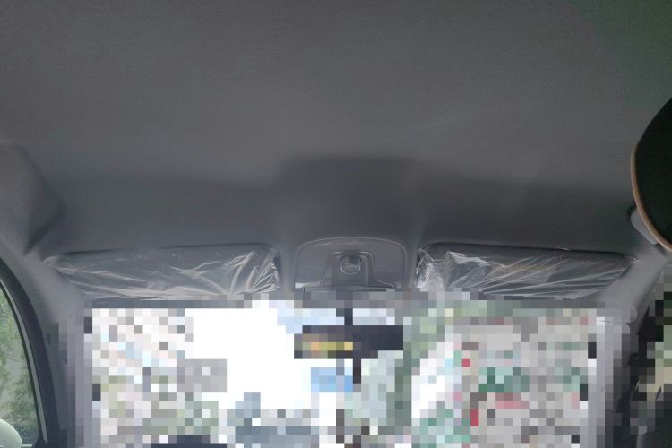 Used Cowin Xuanjie 2023 1.5L Manual Enjoyment Edition Headliner
