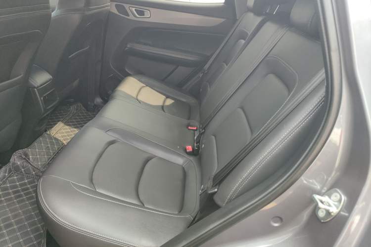 Used Cowin Xuanjie 2024 1.5L CVT Luxury Edition Left Rear Seat