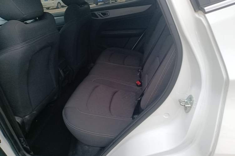 Used Cowin Xuanjie 2024 1.5L CVT Comfort Edition Left Rear Seat