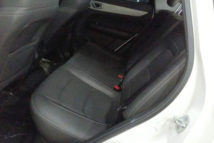 Used Cowin Xuanjie 2024 1.5L CVT Luxury Edition Left Rear Seat
