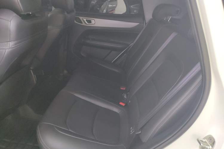 Used Cowin Xuanjie 2024 1.5L CVT Luxury Edition Left Rear Seat