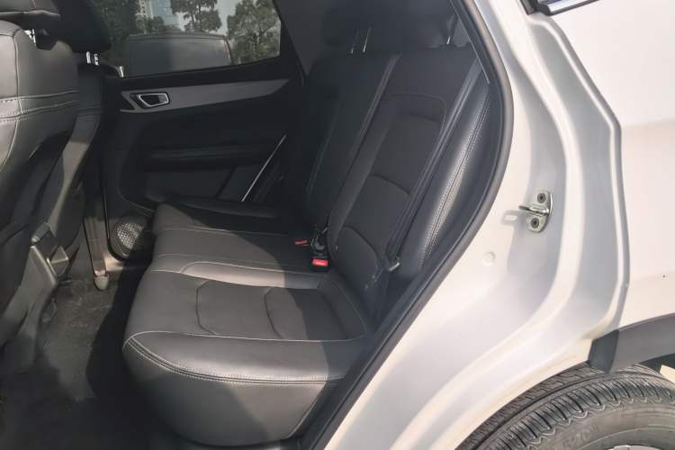 Used Cowin Xuanjie 2024 1.5L CVT Luxury Edition Left Rear Seat