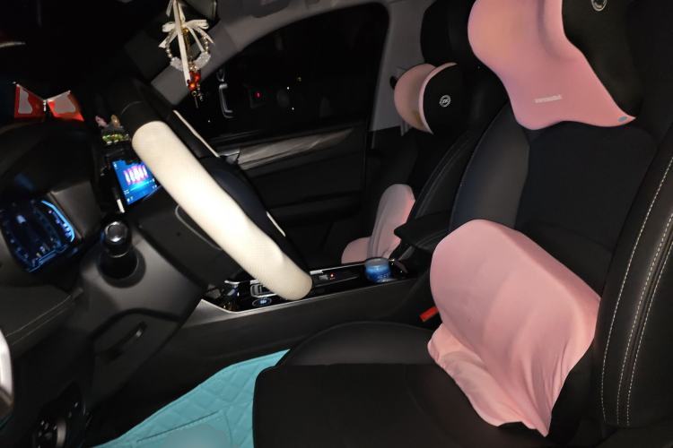 Used Cowin Xuanjie Pro 2025 1.5T CVT Leading Edition Left Front Seat
