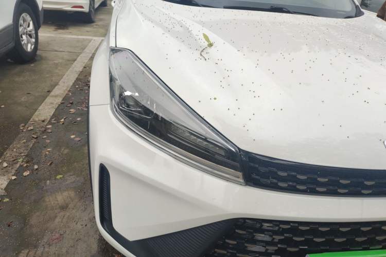 Used Cowin Xuanjie Pro 2021 1.5L CVT Jingyao Edition Right Front Headlight